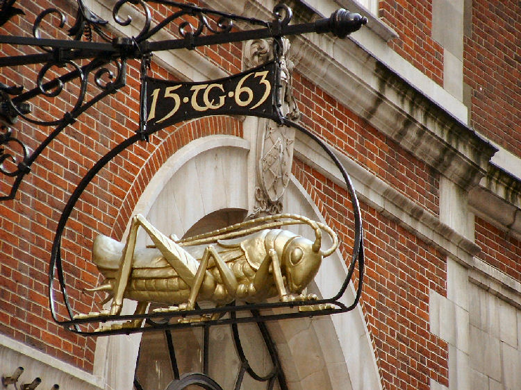 Golden Grasshopper