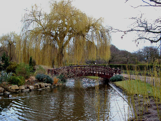 Bridge over lake