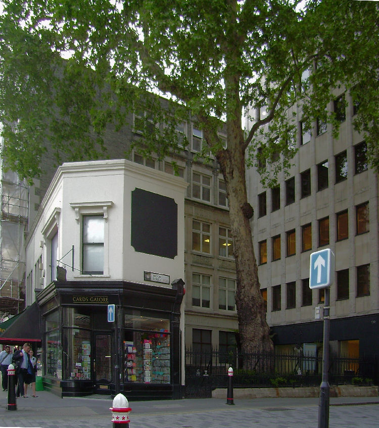 Tree in Wood Street